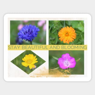 Stay Beautiful and Blooming Photo Collage Sticker